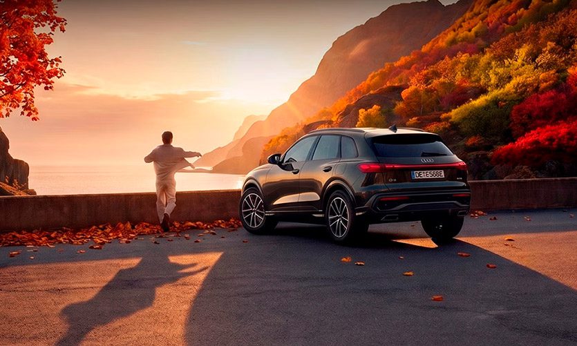 Audi Autumn Check